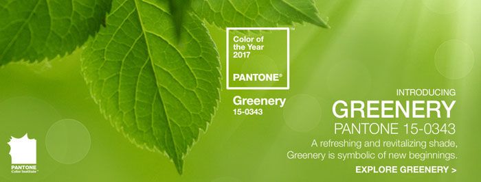 Pantone-Color-of-the-Year-2017-Greenery-15-0343.jpg